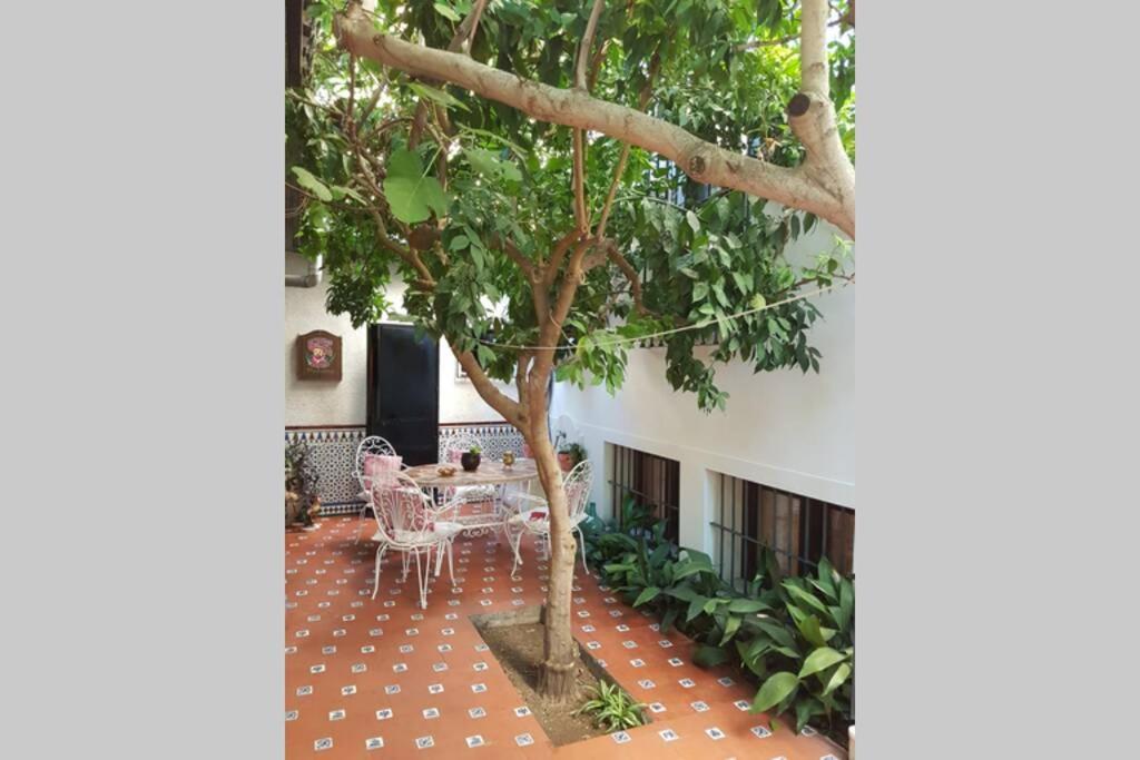 Casa con jardín GRANADA, fácil aparcamiento calle Granada Exterior foto